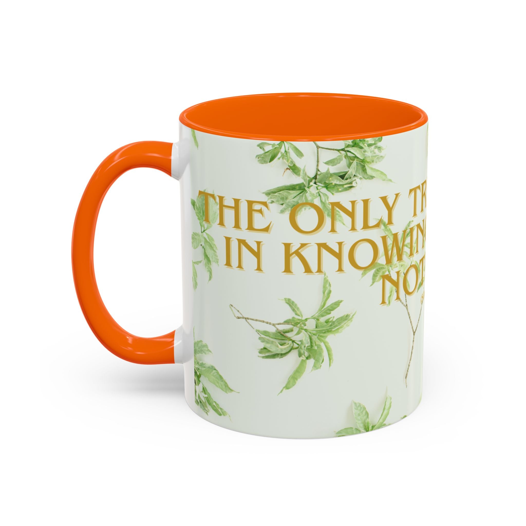 Wisdom Quote Coffee Mug