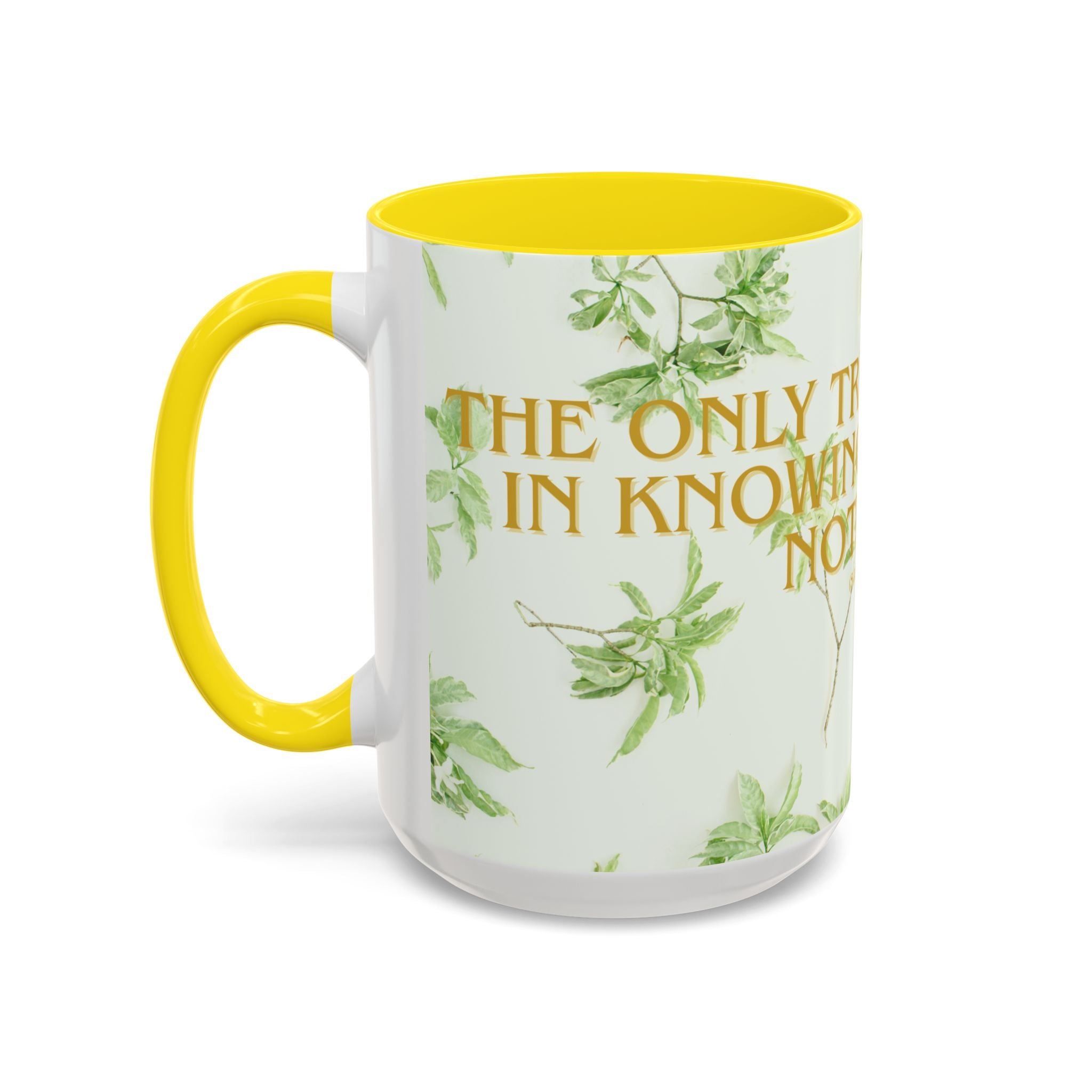 Wisdom Quote Coffee Mug
